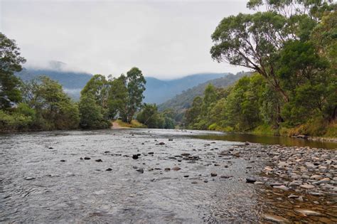 Dargo Vic High Country - Dirt Bike Riding | 4x4 Mate - Exploring Australia One Track at a Time