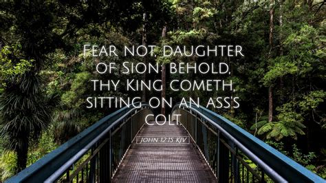 John 12:15 KJV Desktop Wallpaper - Fear not, daughter of Sion: behold, thy King