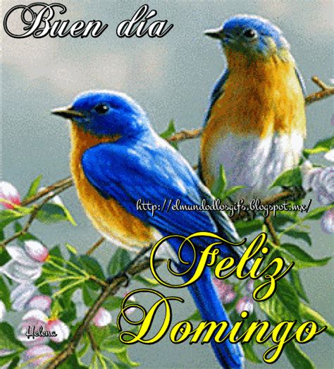 Feliz Domingo Gif, Fruit Shakes, Good Morning Flowers, Morning Messages, Nature Images, Gifs ...