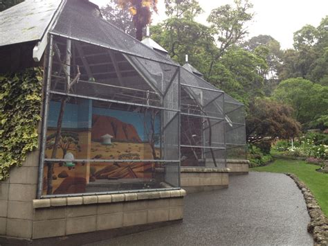 Budgerigar aviary, Napier Botanical Gardens - ZooChat