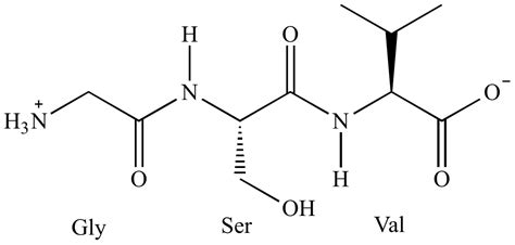 Illustrated Glossary of Organic Chemistry - Tripeptide