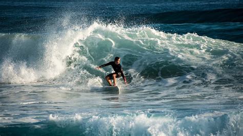 A Guide to Surf Safety: Marine Life, Surf Equipment, and Other Surfers - RipJack Inn