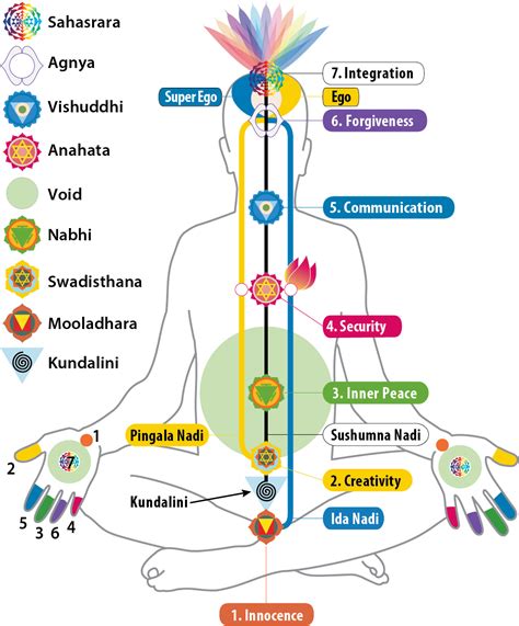 Lesson 5 - Chakras