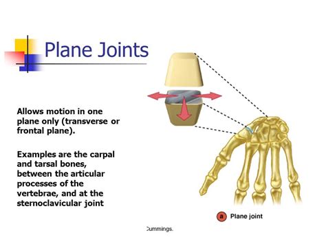 Plane Joint Movement Examples