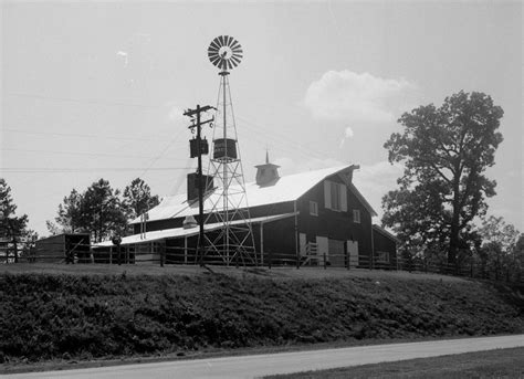 Angus Barn Celebrates Significant Milestone | Restaurant Magazine