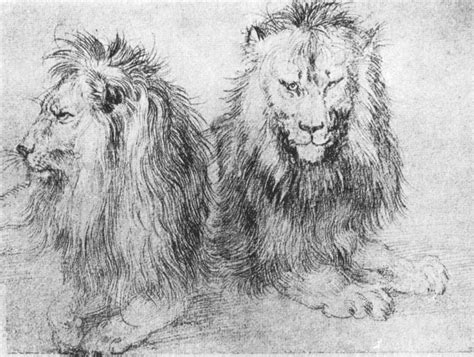File:Durer lions (sketch).jpg - Wikimedia Commons