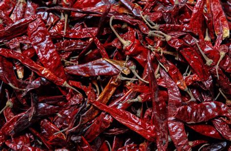 How To Dry Chillies At Home - 3 Methods | Horticulture.co.uk