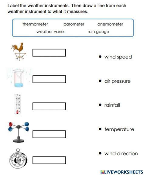 Weather instruments interactive exercise | Live Worksheets - Worksheets Library