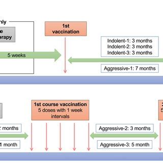 Live attenuated VZV vaccination schedule. Live attenuated VZV vaccine... | Download Scientific ...