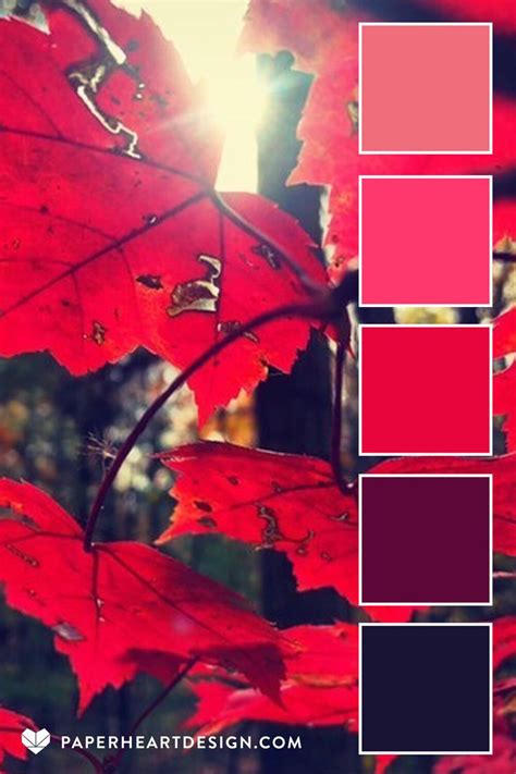 Winter Color Palette, Red Colour Palette, Color Schemes Colour Palettes, Color Combos, Color Pop ...