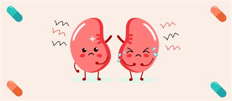 Medications That Can Cause Nephrotoxicity (Kidney Damage) - BuzzRx