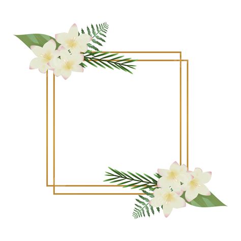 White Flower Bouquet Vector Hd Images, Flower Frame With Vector White Gladius Bouquet, Vector ...