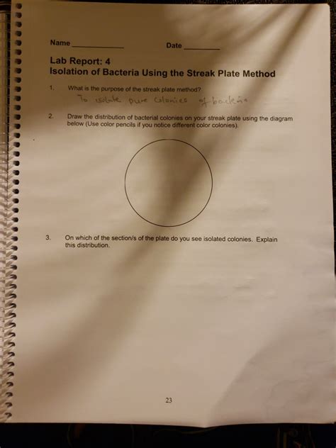 Solved Name Date Lab Report: 4 Isolation of Bacteria Using | Chegg.com