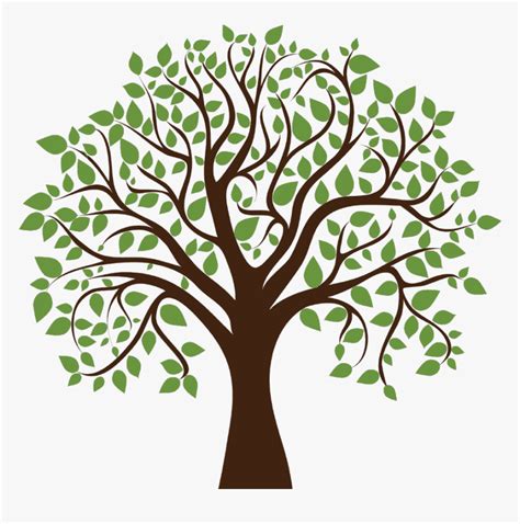 Family Tree Clipart Transparent Background , Transparent - Oak Tree With Acorns Clipart, HD Png ...