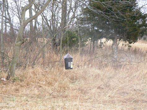 Homemade Deer Feeders 5 Gallon Bucket - Homemade Ftempo