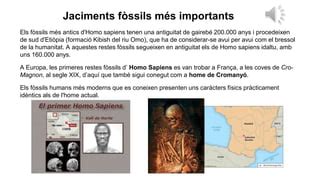 Homo sapiens | PPT