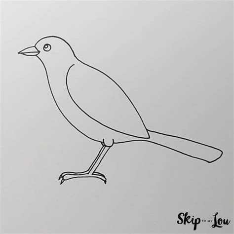 How to Draw a Bird | Skip To My Lou