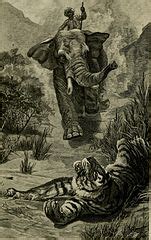 File:Wild beasts and their ways - reminiscences of Europe, Asia, Africa and America (1890 ...