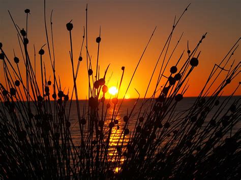 HD wallpaper: sunset, west beach, south australia, coast, dusk, tranquil | Wallpaper Flare