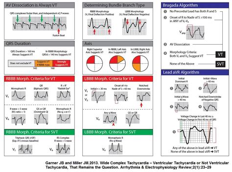 Pin on cardiology