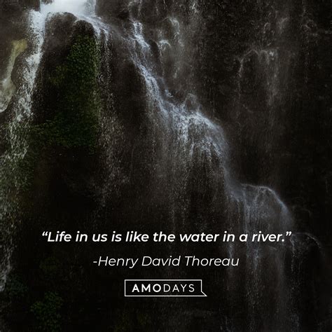 79 Water Quotes That Teach Us about the Flow of Life