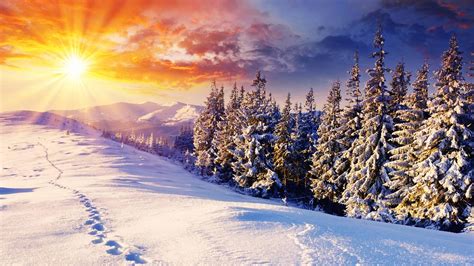 Winter Wallpaper and Screensavers (40+ images)