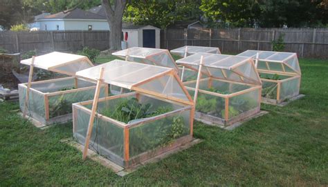 These are my mini greenhouses for winter gardening. They open for ...