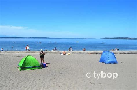 10 Fun Activities To Try At Alki Beach | QuartzMountain