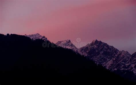 Pink Sky with Snow-covered Mountains Glacier and Tall Trees in Himachal ...