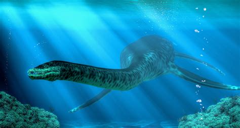 Plesiosaur fossils found in a 100-million-year old river - Earth.com