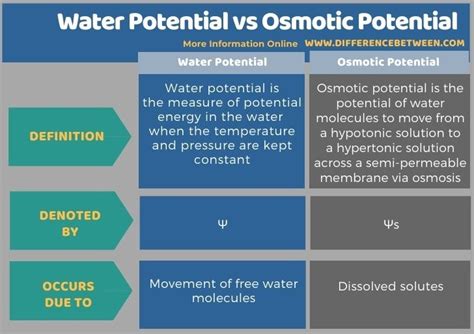 Difference Between Water Potential and Osmotic Potential | Compare the Difference Between ...