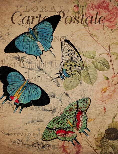 Vintage Floral Butterfly Postcard Free Stock Photo - Public Domain Pictures