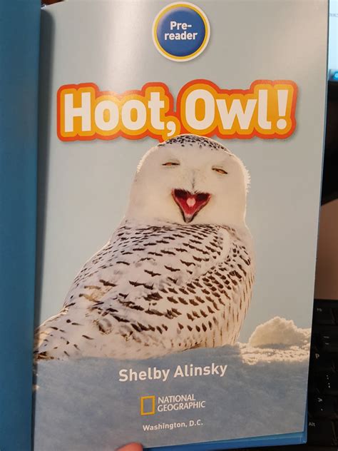 Literary Hoots: Hoot, Owl!