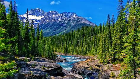 HD wallpaper: icefields parkway, national park, banff national park ...