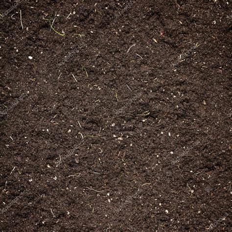 Soil texture — Stock Photo © korovin #40161041