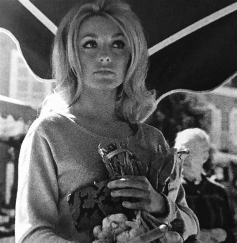Sharon Tate, photographed at a French market in 1965 while on a break from filming Eye of The ...