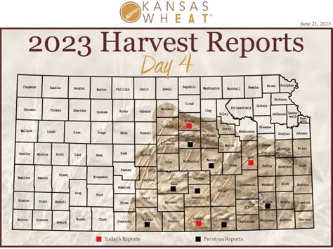 Kansas Wheat Harvest Report Day Four | KRSL.com