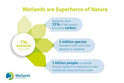 Why wetlands are our best climate-change hack | World Economic Forum