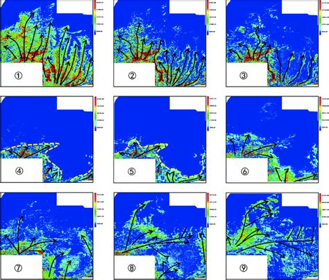 Typical rms amplitude stratal slices of the VDS seismic data in the... | Download Scientific Diagram