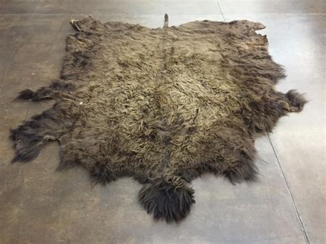 Large Buffalo Hide Robe or Rug