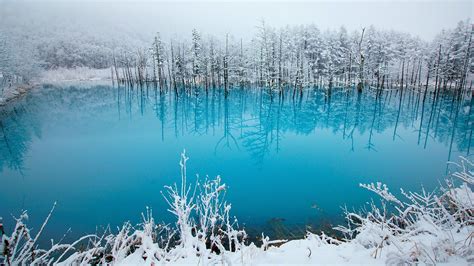 Wallpaper Japan, Hokkaido, blue pond, trees, snow, winter 1920x1080 Full HD 2K Picture, Image