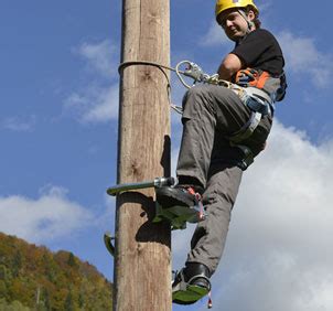 Plemont - Pole Climbers and Tree Climbing Gear