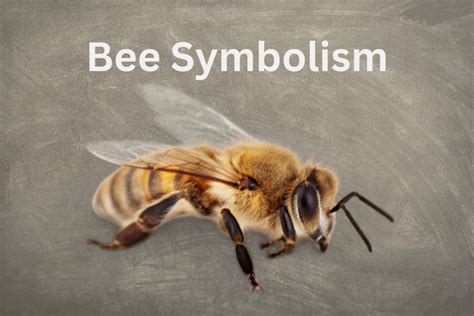 The Hidden Meaning Of Bee Symbolism - SymbolScholar