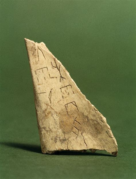 Oracle Bones - World History Encyclopedia