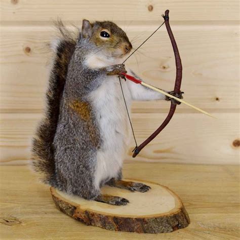 Hunting Squirrel with Bow and Arrow SW4014 Safariworks Taxidermy Sales | Taxidermy mounts ...