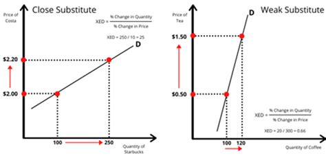 Cross price Elasticity of demand- explained