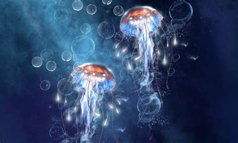 Glowing Jellyfish Wallpapers - Wallpaper Cave