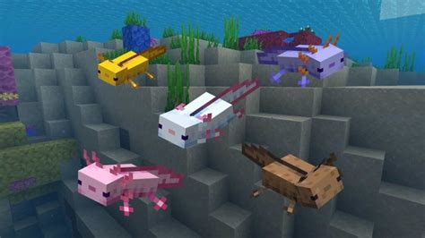 Minecraft Animal Images