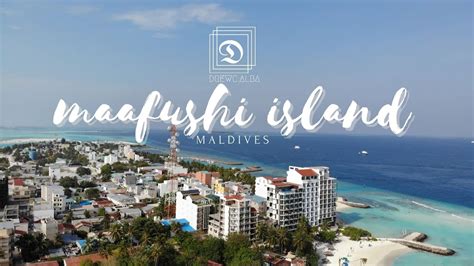 What to do in Maldives I Maafushi Island Activities - YouTube