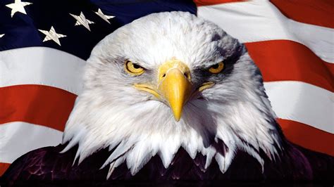 🔥 [98+] American Flag with Eagle Wallpapers | WallpaperSafari